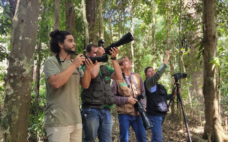 Observação de aves