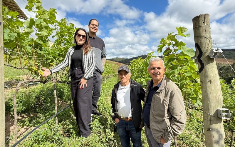 WhatsApp Image 2025-06-16 at 12.48.49